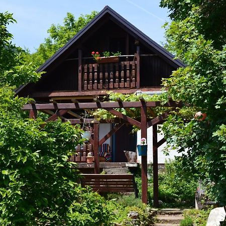 Na Okic - A Private Forest Oasis Sveti Martin pod Okicem Luaran gambar