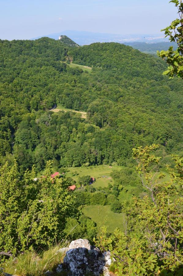 Na Okic - A Private Forest Oasis Sveti Martin pod Okicem Luaran gambar