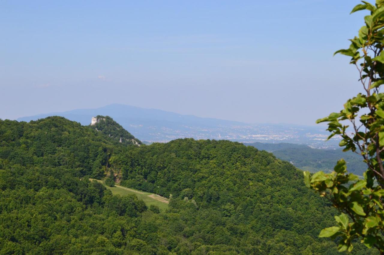 Na Okic - A Private Forest Oasis Sveti Martin pod Okicem Luaran gambar
