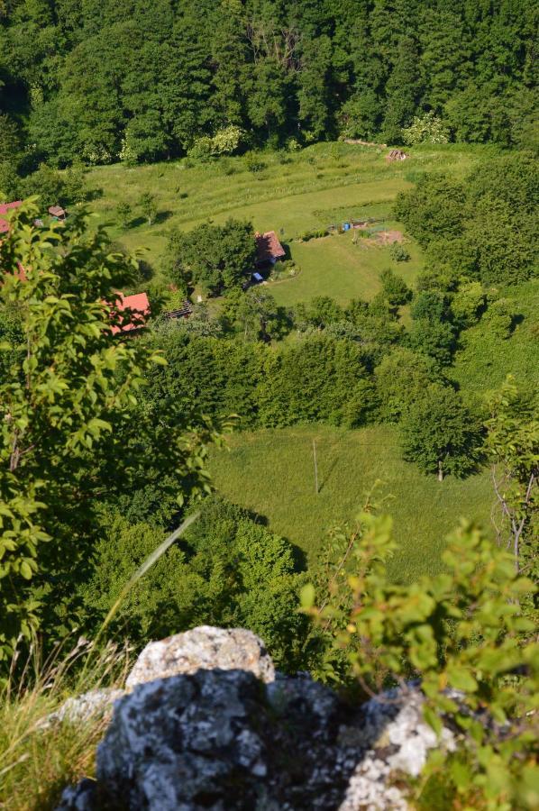 Na Okic - A Private Forest Oasis Sveti Martin pod Okicem Luaran gambar