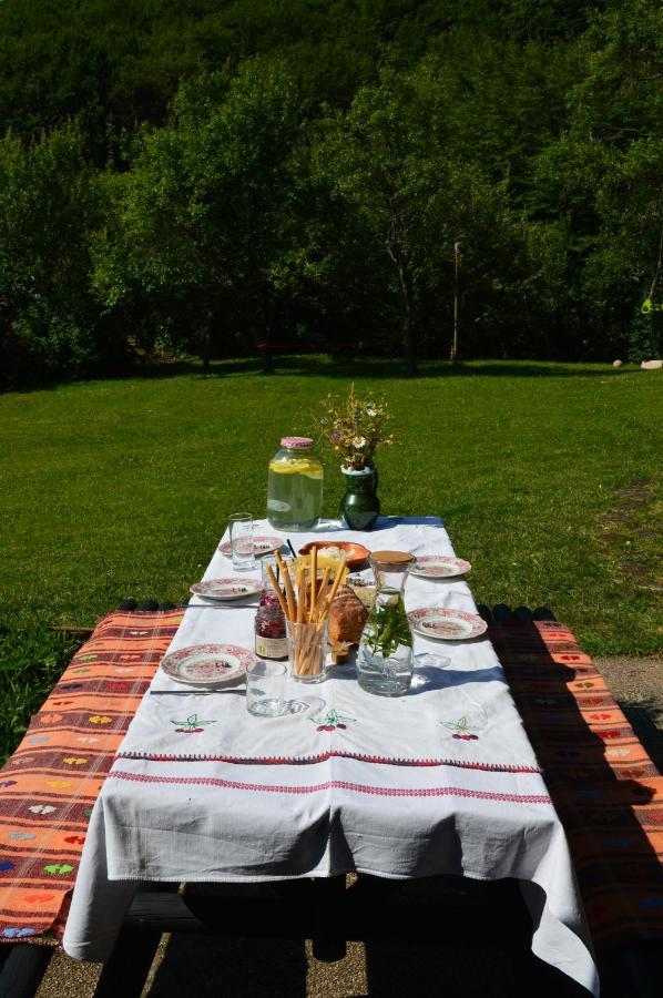 Na Okic - A Private Forest Oasis Sveti Martin pod Okicem Luaran gambar