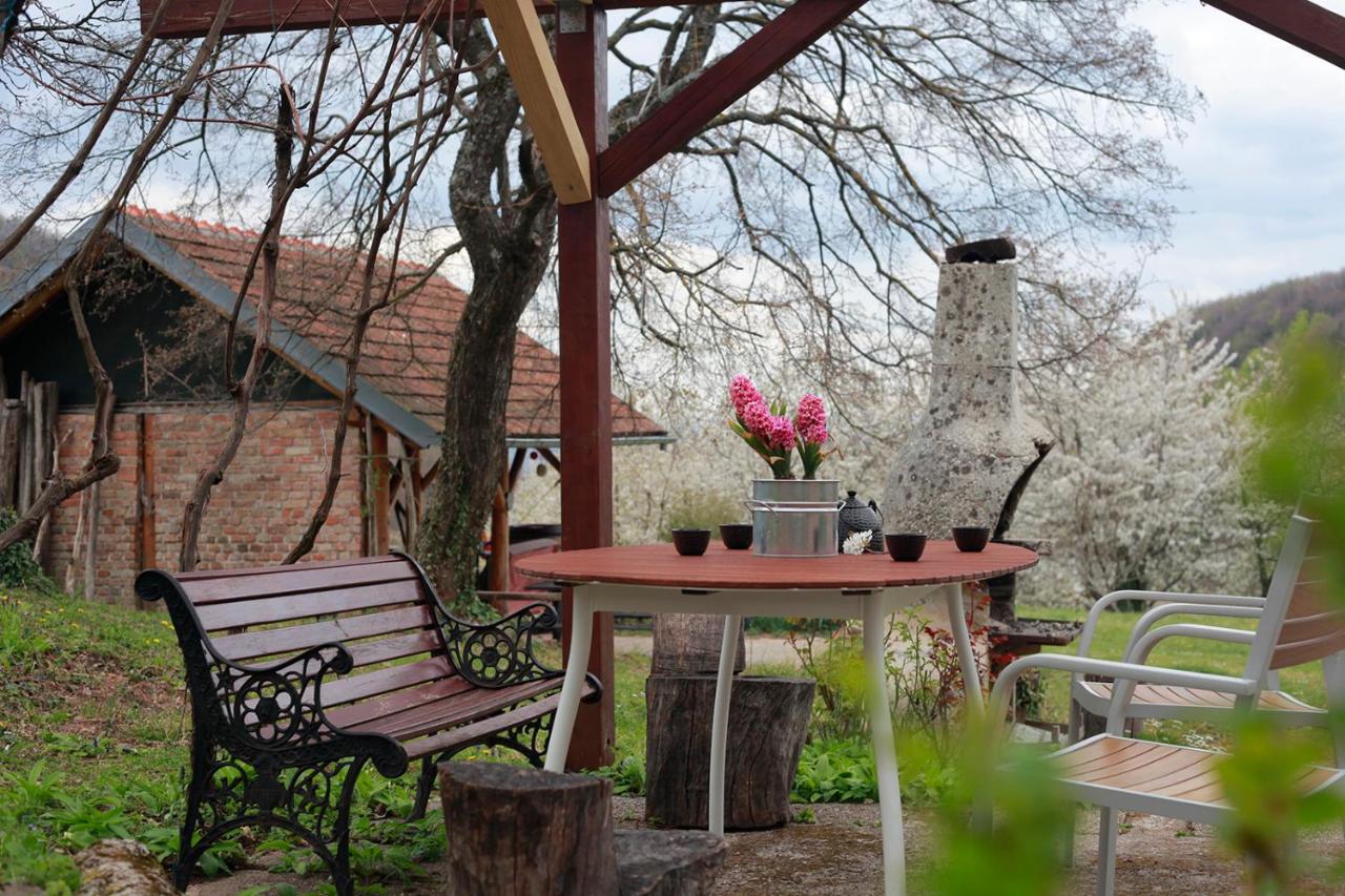 Na Okic - A Private Forest Oasis Sveti Martin pod Okicem Luaran gambar