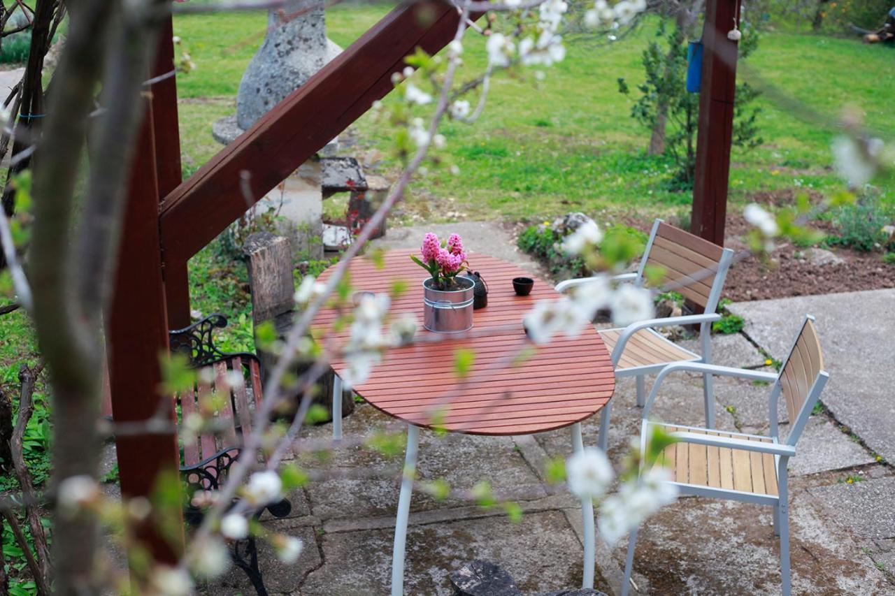Na Okic - A Private Forest Oasis Sveti Martin pod Okicem Luaran gambar