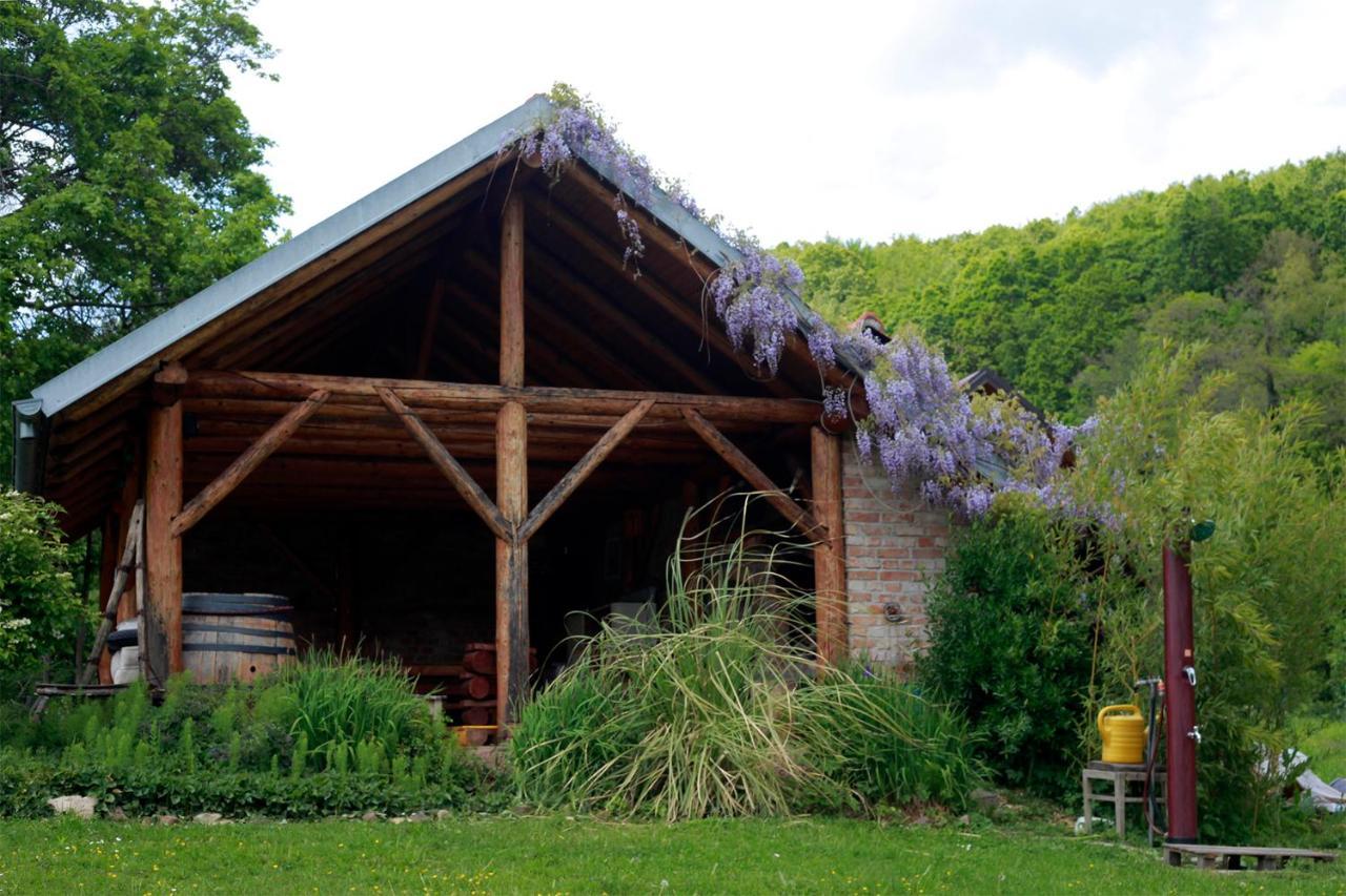 Na Okic - A Private Forest Oasis Sveti Martin pod Okicem Luaran gambar