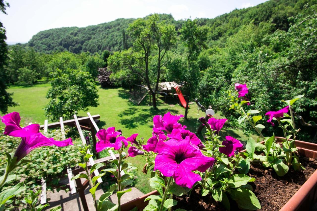 Na Okic - A Private Forest Oasis Sveti Martin pod Okicem Luaran gambar