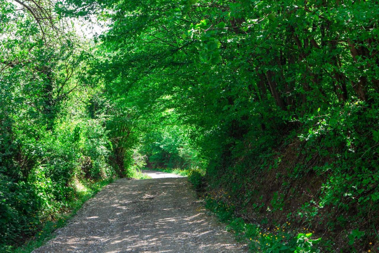 Na Okic - A Private Forest Oasis Sveti Martin pod Okicem Luaran gambar