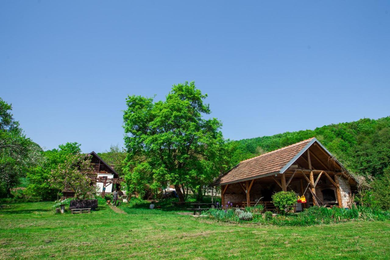 Na Okic - A Private Forest Oasis Sveti Martin pod Okicem Luaran gambar